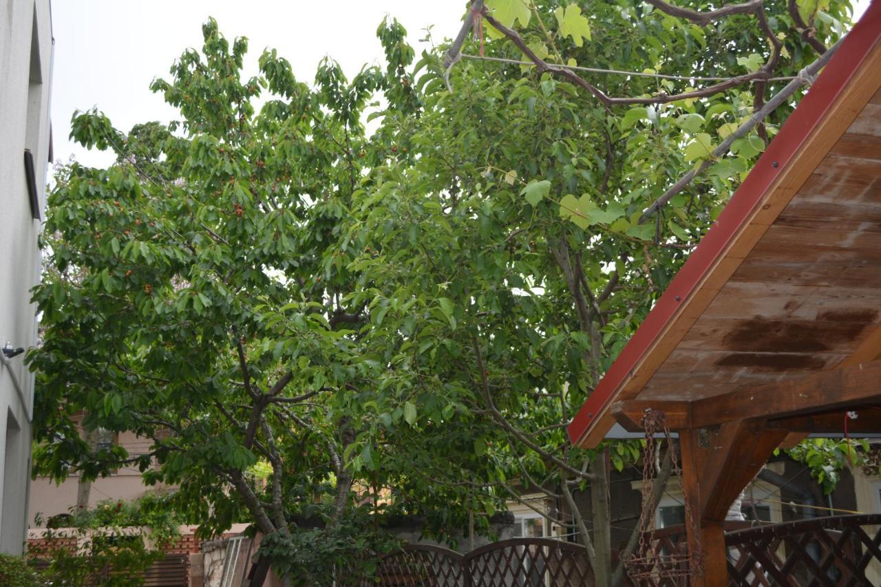 Victor Residence 38 Bukares Bagian luar foto