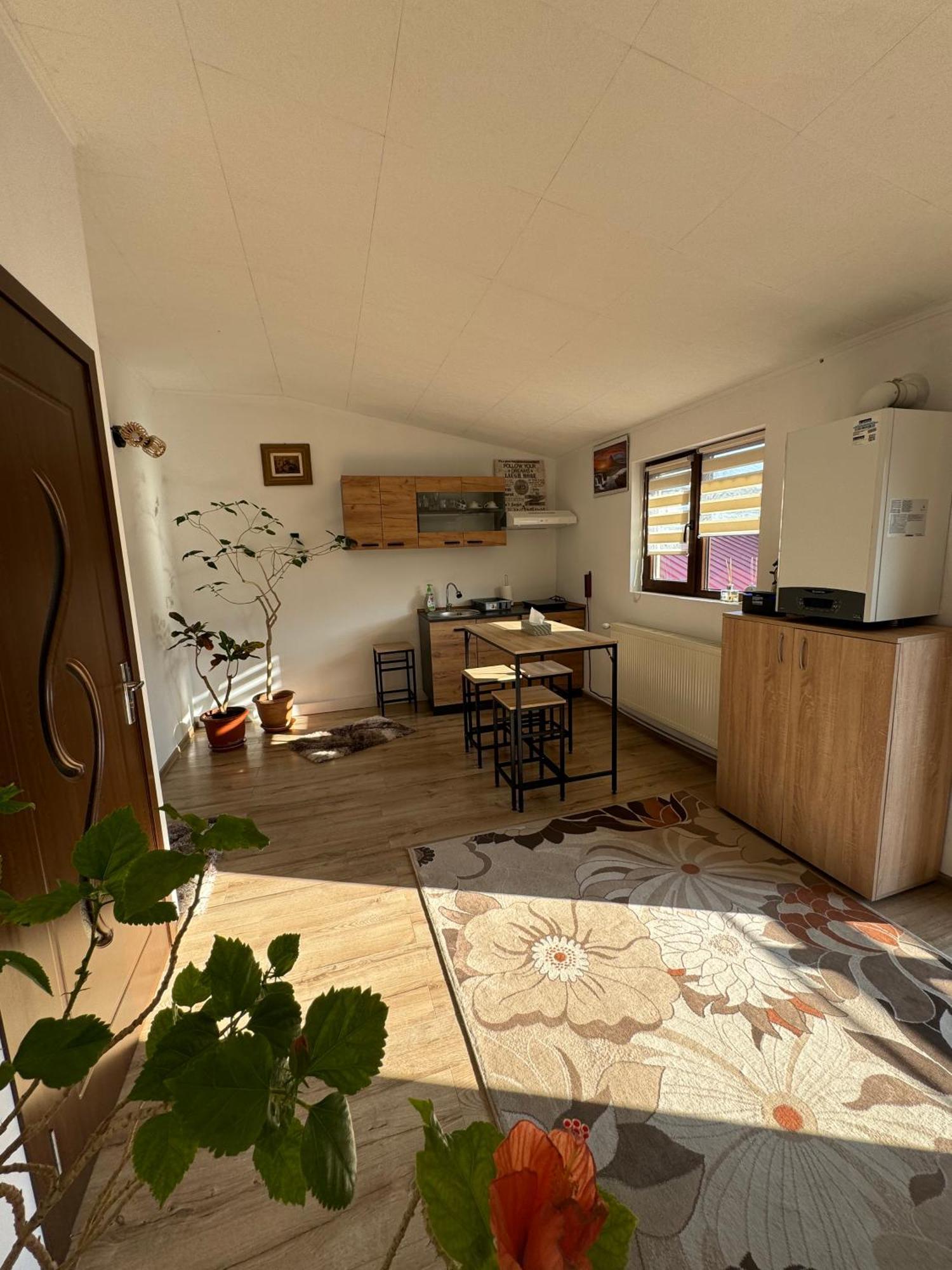 Victor Residence 38 Bukares Bagian luar foto